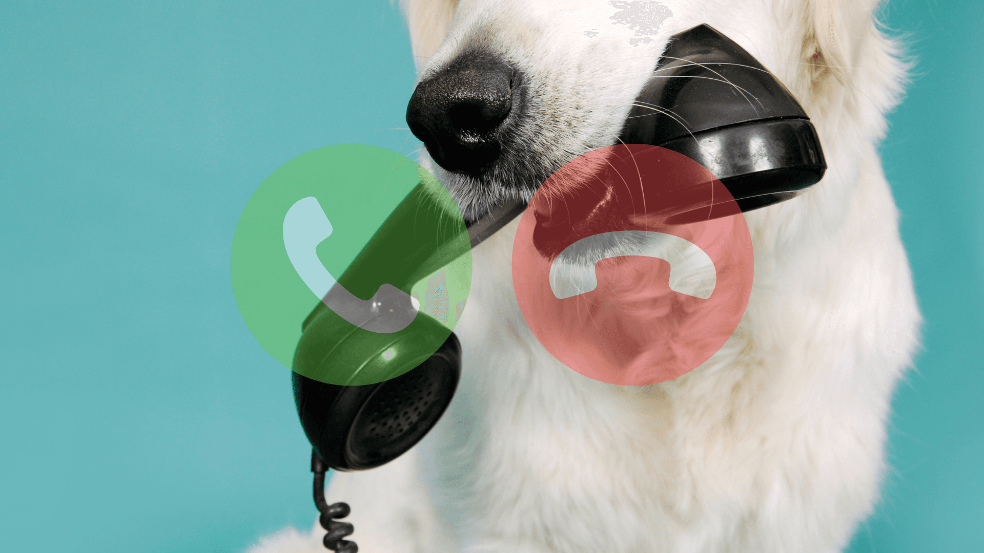Service de réponse téléphonique IA pour les petites entreprises : Ne manquez plus jamais un appel important